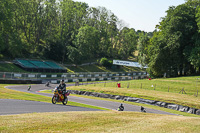 cadwell-park;cadwell-park-photographs;cadwell-trackday-photographs;enduro-digital-images;event-digital-images;eventdigitalimages;peter-wileman-photography;racing-digital-images;trackday-digital-images;trackday-photos